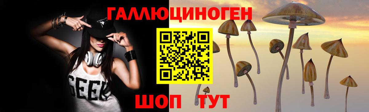 Псилоцибиновые грибы GOLDEN TEACHER Корсаков